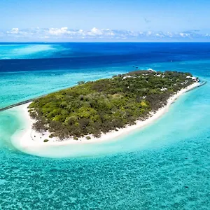 Semesteranläggning (resort) Heron Island